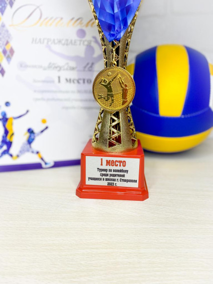 I место в городских соревнованиях по волейболу среди команд родителей школьников.